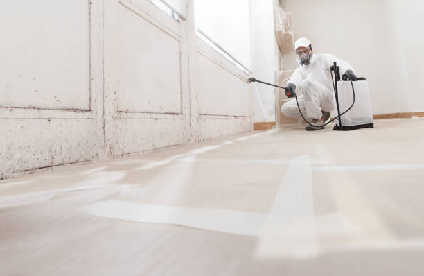 24/7 Emergency Mold Cleanup experts in Jacksonville, FL